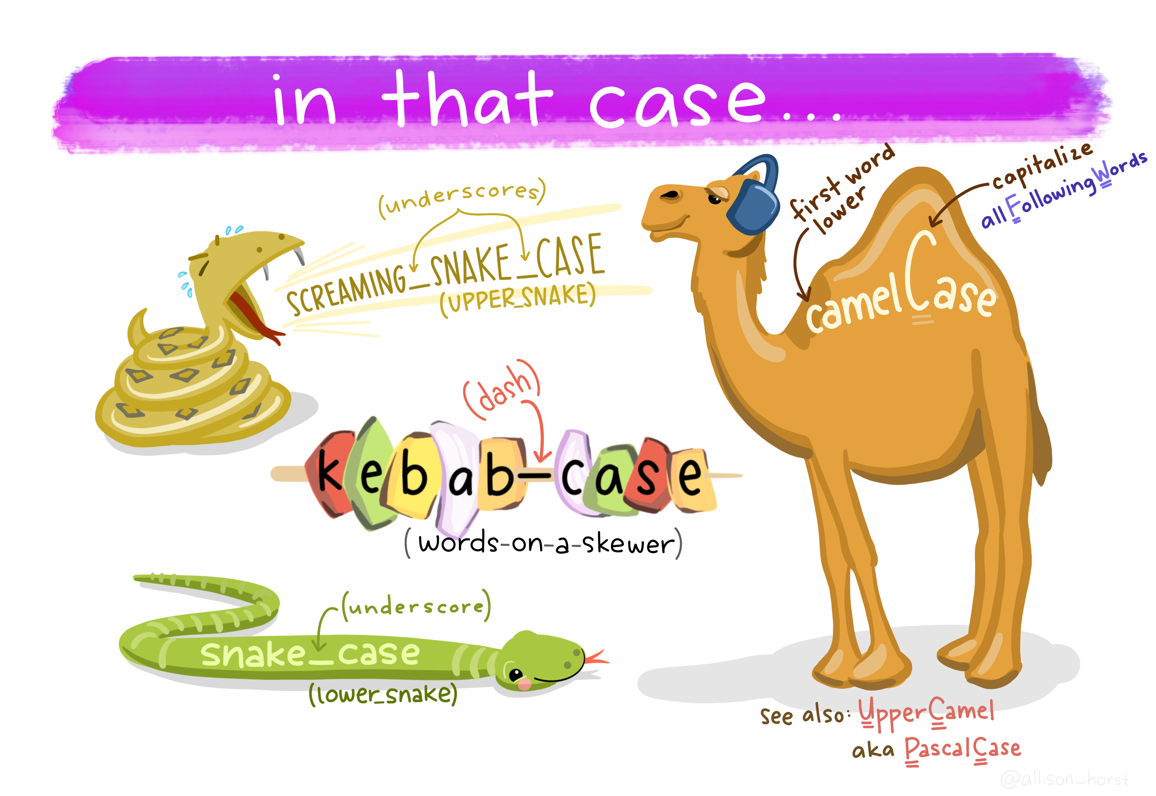 an illustration showing a camel, and the differences between camel, kebab, snake, and other useful cases