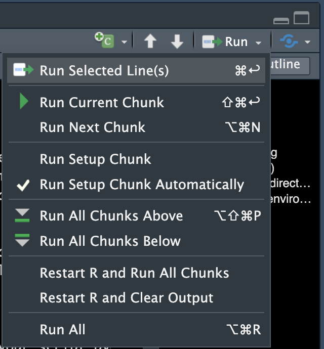 A screenshot of the RStudio IDE, showing the different Run options.